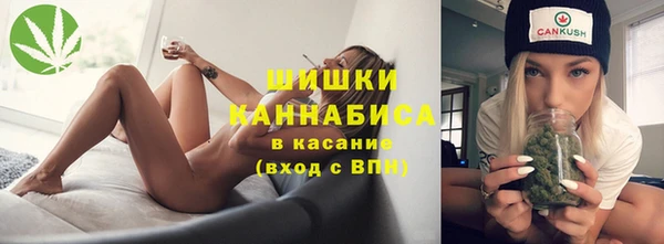 молекула духа Гвардейск