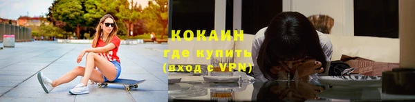соль ск Пересвет