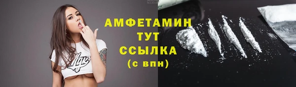 соль ск Пересвет