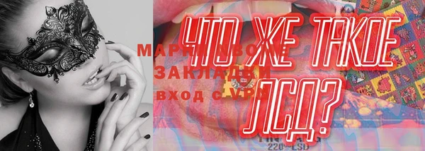 соль ск Пересвет