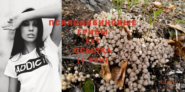 соль ск Пересвет