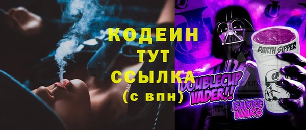 соль ск Пересвет