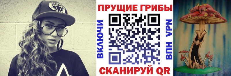 Псилоцибиновые грибы мицелий  наркота  Тарко-Сале 